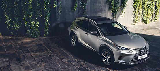 Lexus vid grå betongvägg